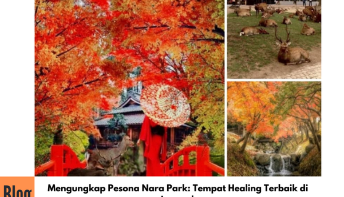 Keindahan Nara Park Jepang