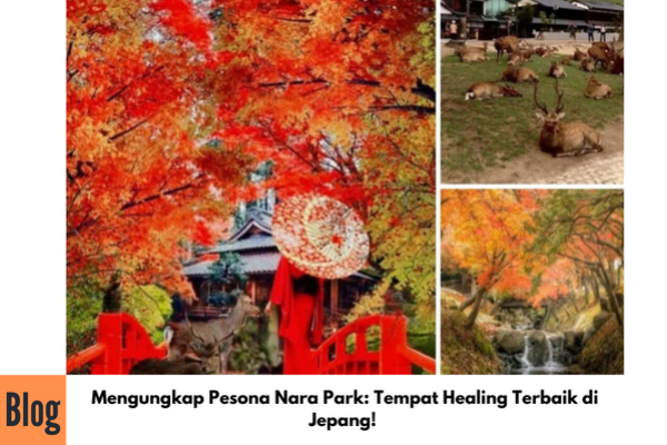 Keindahan Nara Park Jepang
