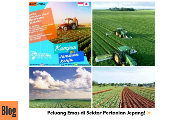 Peluang Emas, Bekerja di Sektor Pertanian Jepang